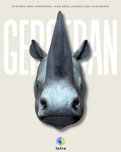 Gergedan Duvar Süsü