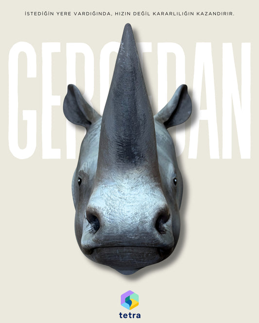 Gergedan Duvar Süsü