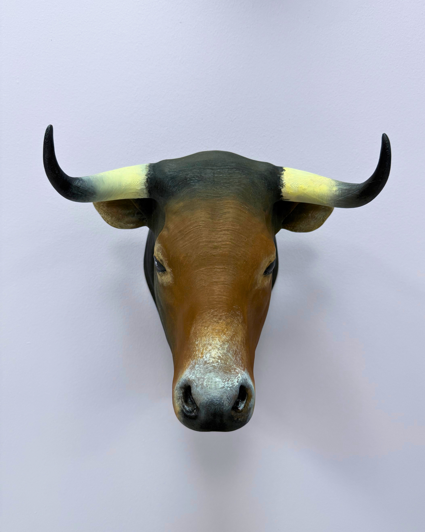 Boğa Duvar Süsü