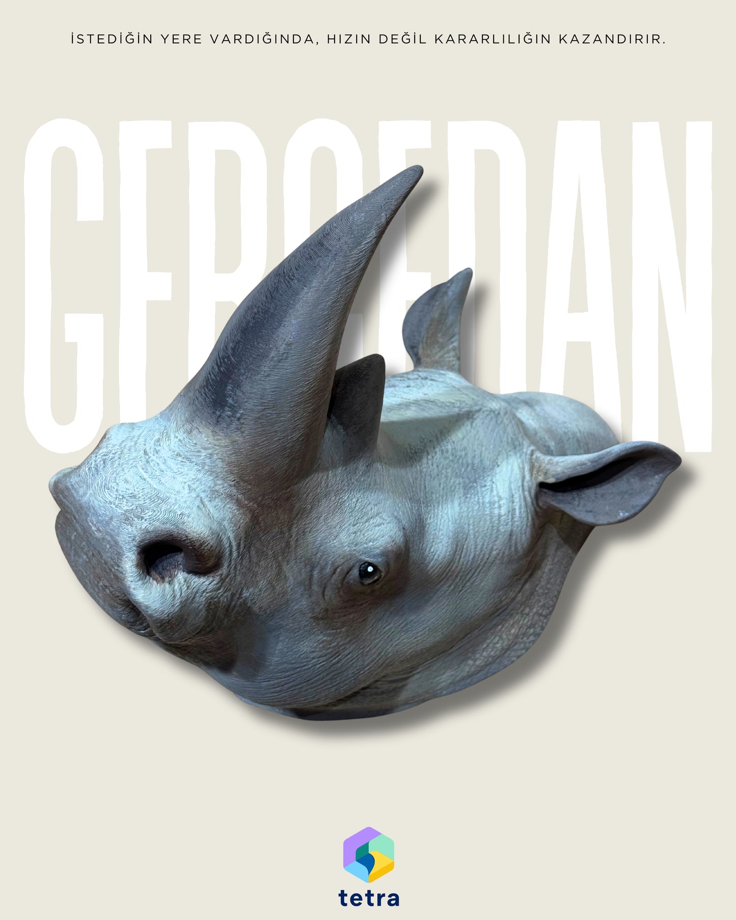 Gergedan Duvar Süsü