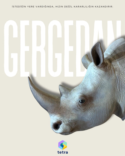 Gergedan Duvar Süsü