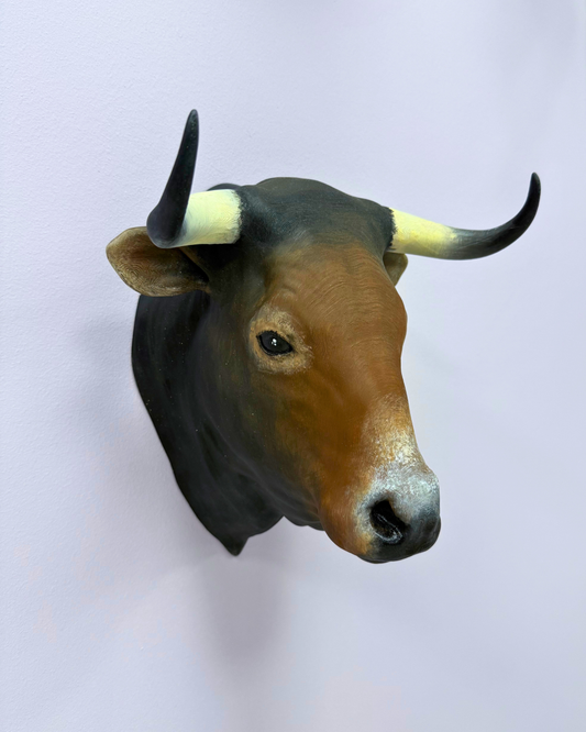 Boğa Duvar Süsü
