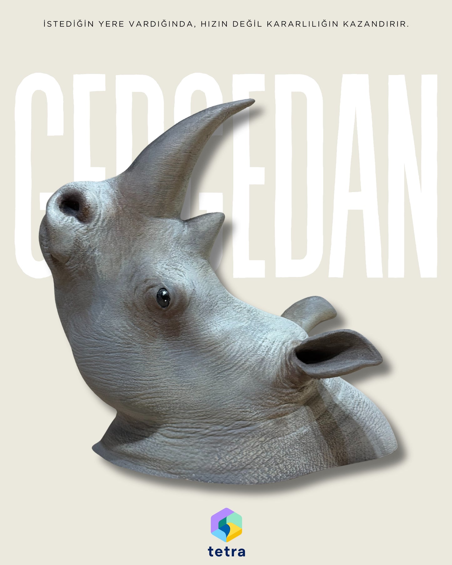 Gergedan Duvar Süsü