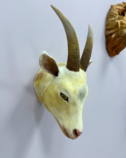 Beyaz Keçi Duvar Süsü