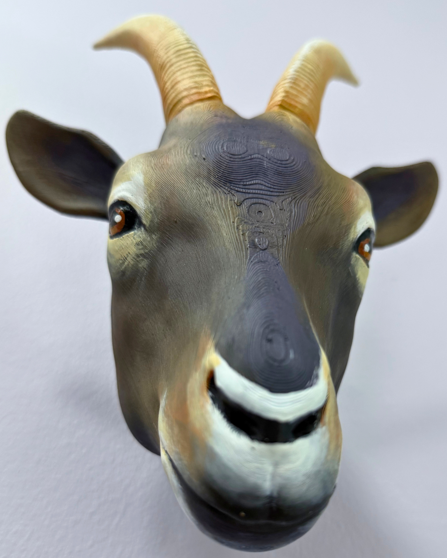 Kara Keçi Duvar Süsü