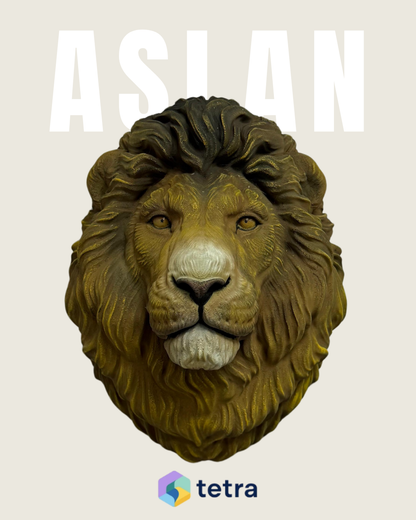 Aslan Duvar Süsü