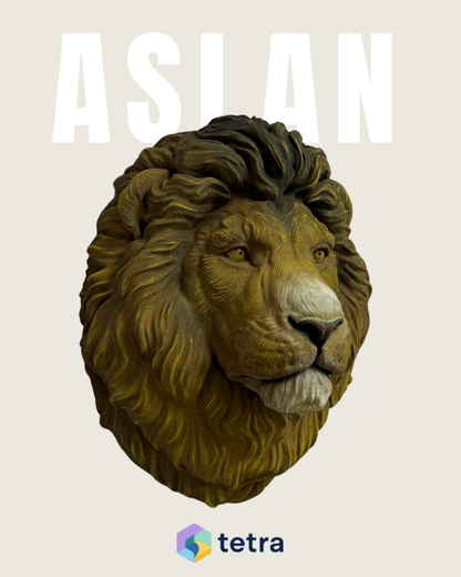 Aslan Duvar Süsü