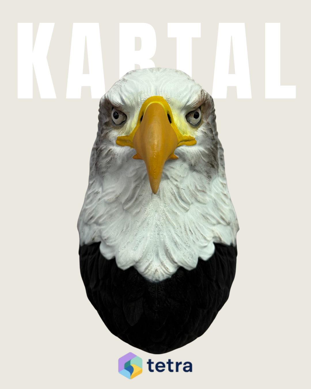 Kartal Duvar Süsü