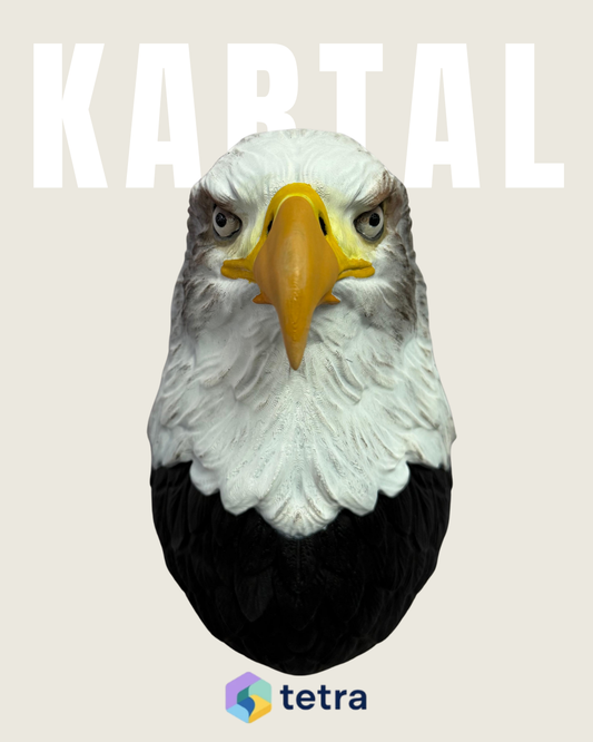 Kartal Duvar Süsü