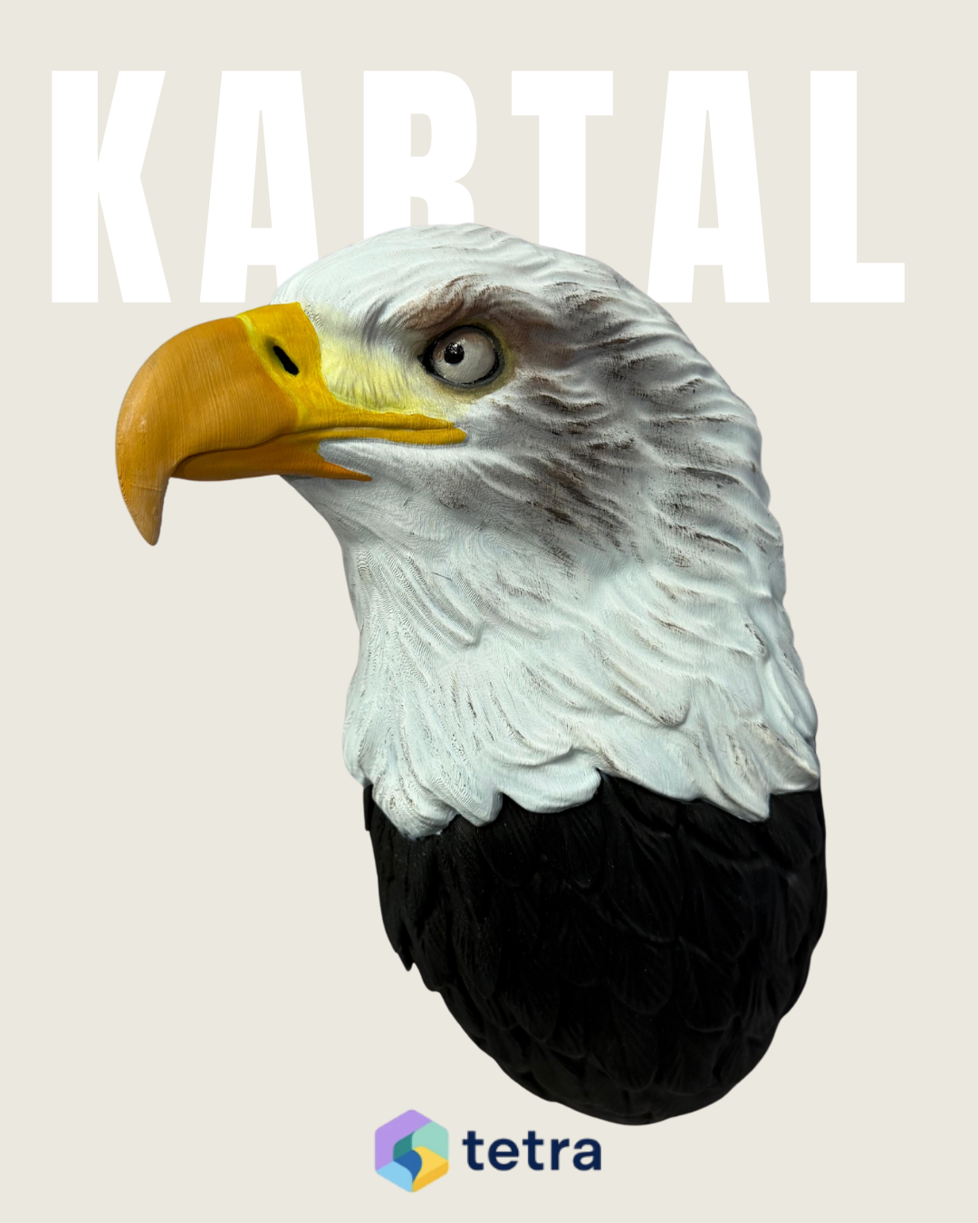 Kartal Duvar Süsü