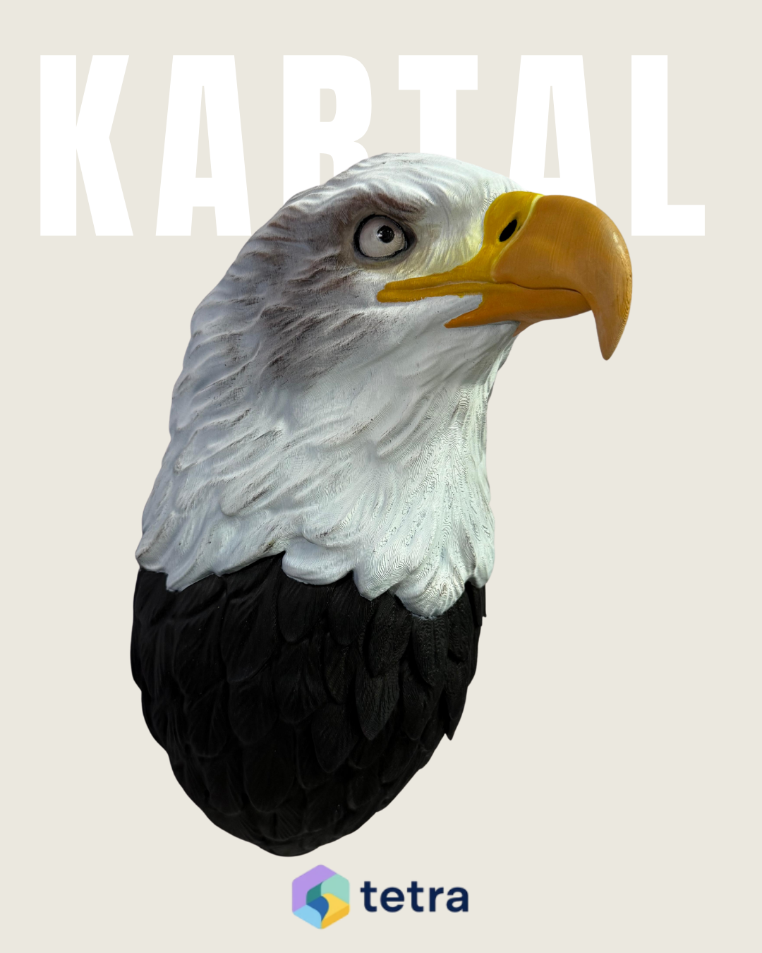 Kartal Duvar Süsü